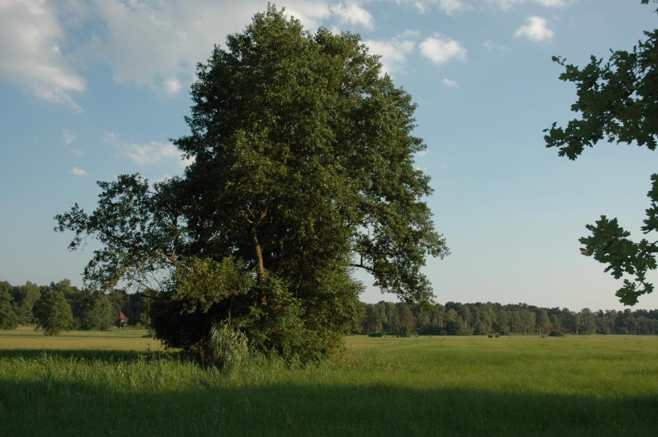 バート・ザーローHaus Waldfriedenアパートメント エクステリア 写真